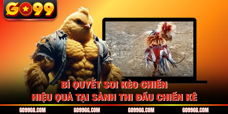 Đá Gà GO99 - Nơi Hội Tụ Những Chiến Kê Dũng Mãnh Nhất Châu Á