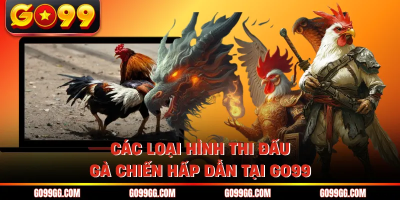 Đá Gà GO99 - Nơi Hội Tụ Những Chiến Kê Dũng Mãnh Nhất Châu Á