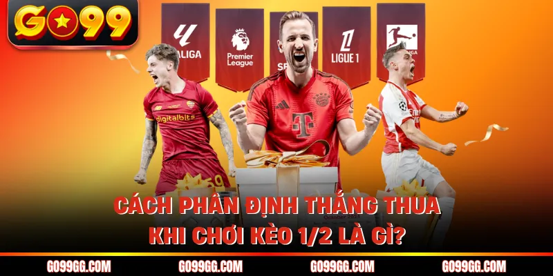 Kèo 1/2 Là Gì? - Cách Tính Tiền Cược Chấp Nửa Trái Tại Go99