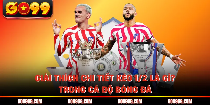 Kèo 1/2 Là Gì? - Cách Tính Tiền Cược Chấp Nửa Trái Tại Go99