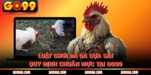 Đá Gà GO99 - Nơi Hội Tụ Những Chiến Kê Dũng Mãnh Nhất Châu Á
