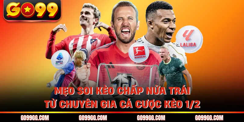 Kèo 1/2 Là Gì? - Cách Tính Tiền Cược Chấp Nửa Trái Tại Go99