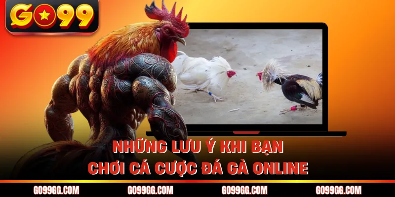Luật Chơi Đá Gà Thomo - Các Quy Định Dành Cho Kê Thủ