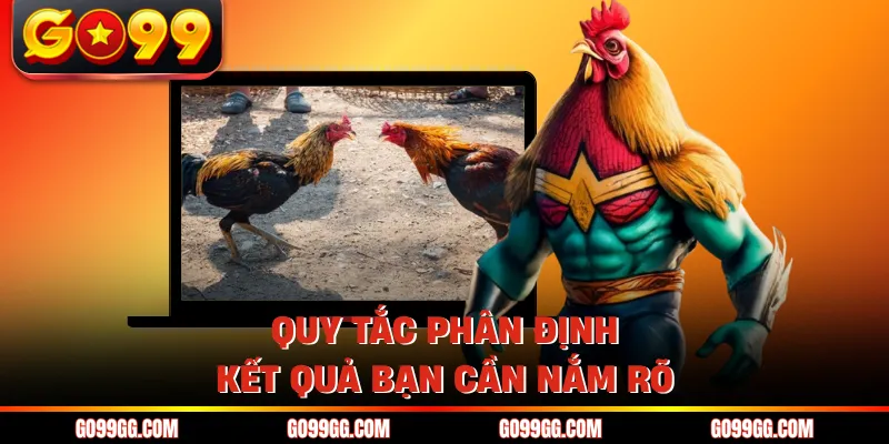 Luật Chơi Đá Gà Thomo - Các Quy Định Dành Cho Kê Thủ
