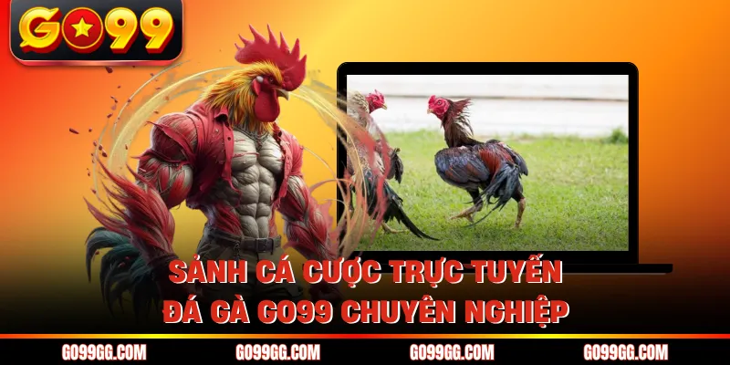 Đá Gà GO99 - Nơi Hội Tụ Những Chiến Kê Dũng Mãnh Nhất Châu Á